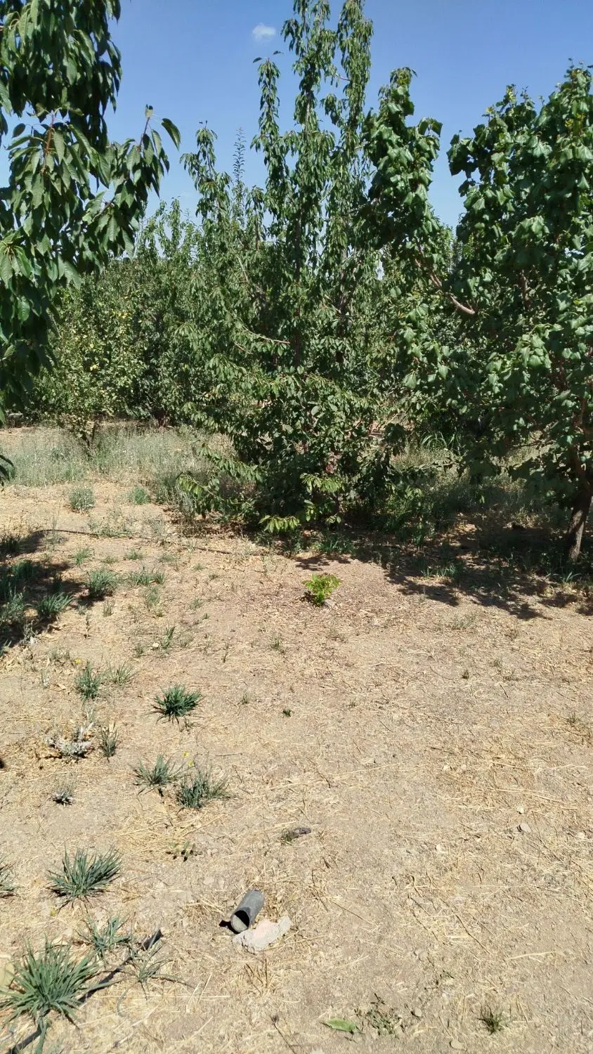 اتاق باغ کشاورزی پل زمانخان