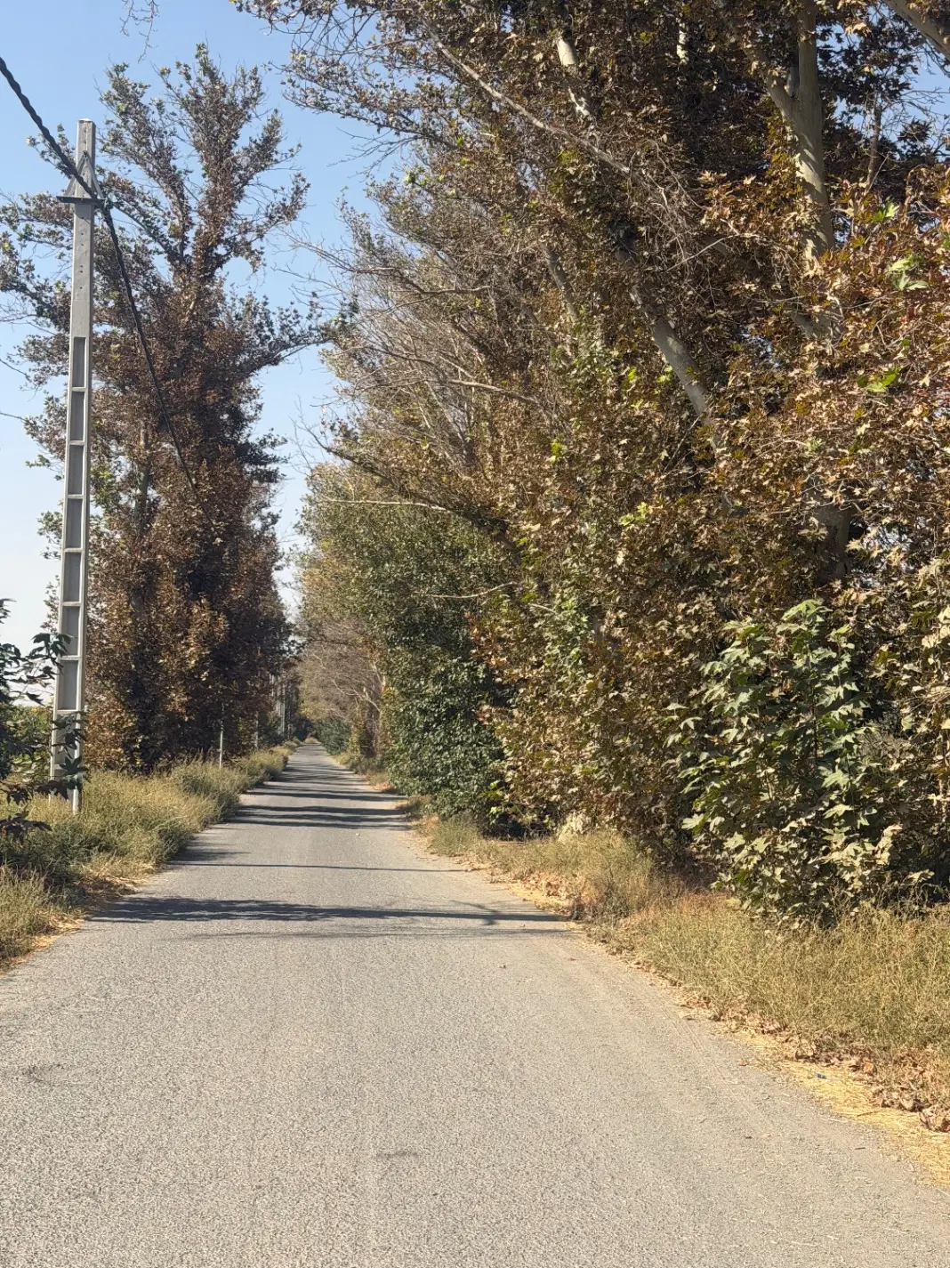 زمین در شهرک ویلایی