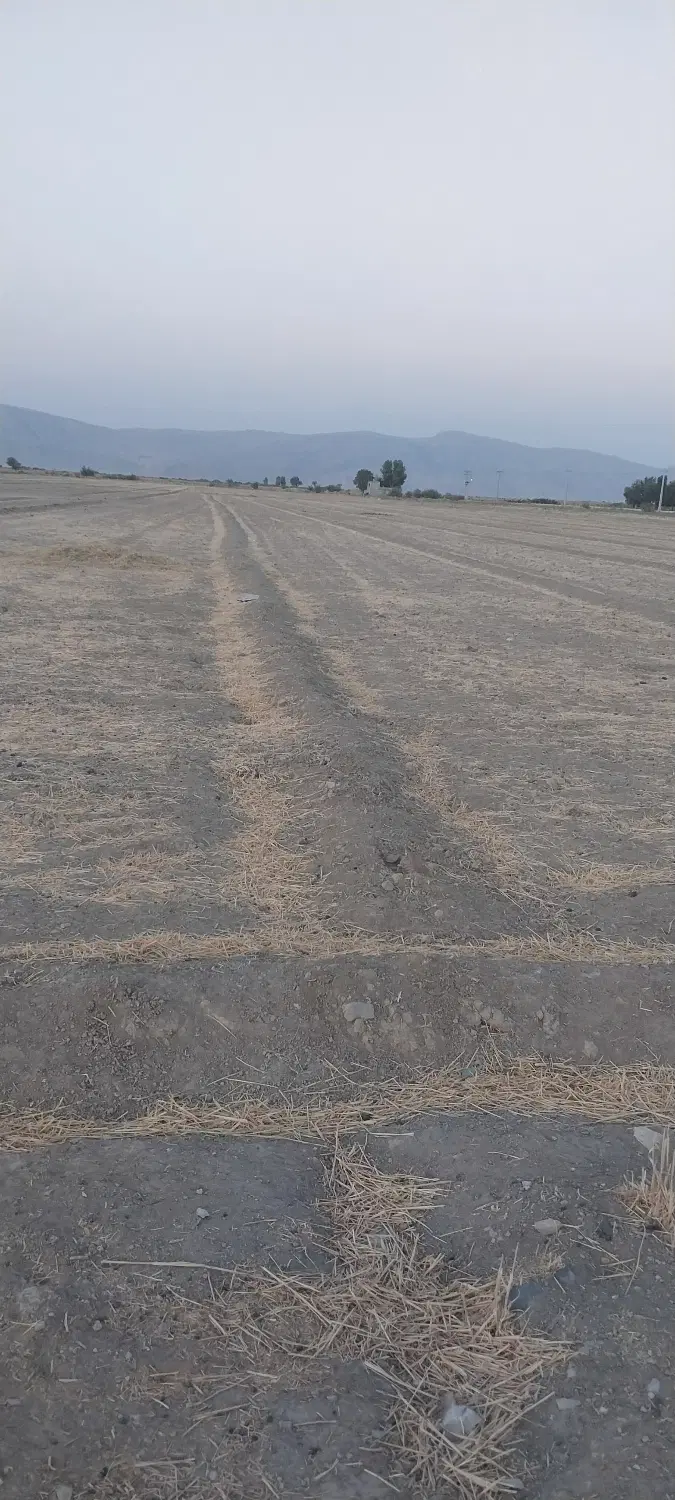 زمین کشاورزی