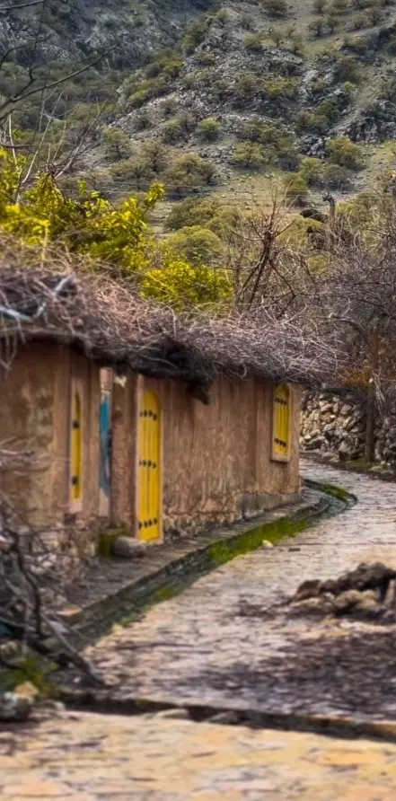 زمین تجاری شهدای سه (3)سند تک برگ و پروانه تجاری