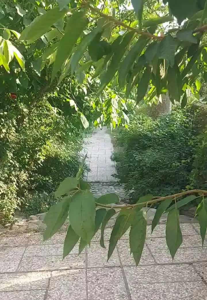 ویلای کوهستانی
