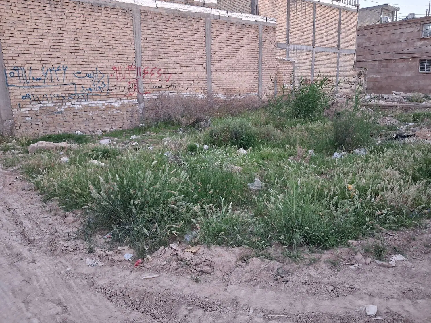 زمین کرونی کوچه مخابرات