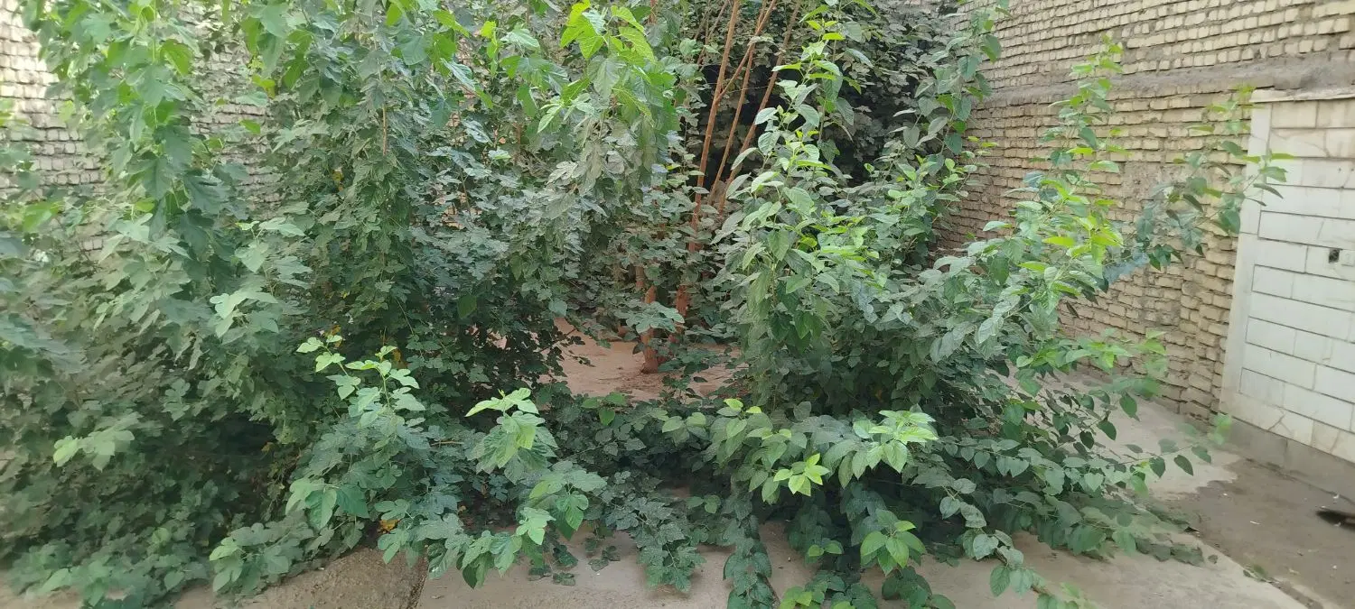 خانه ویلایی
