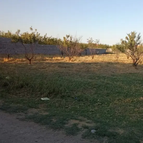 زمین کشاورزی