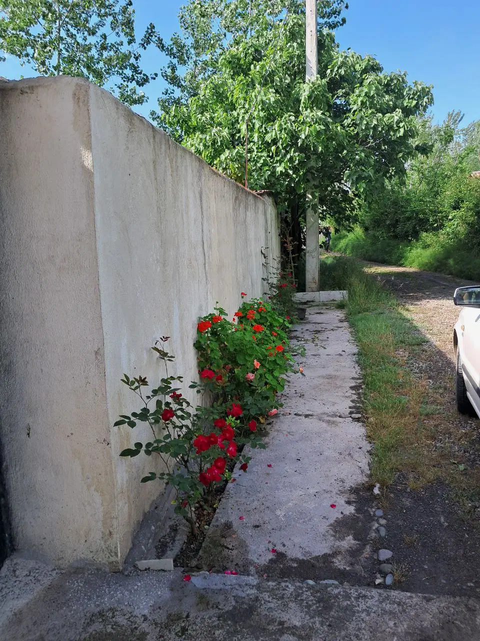 فروش ویلا گیلان