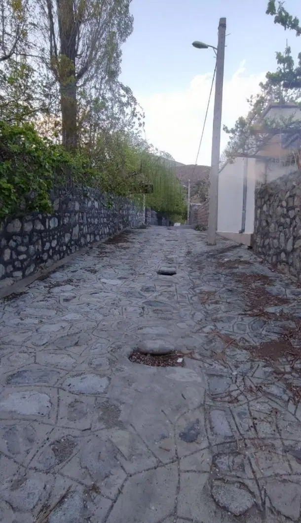 زمین دلفارد بنستان (سنگفرش)تکبرگ