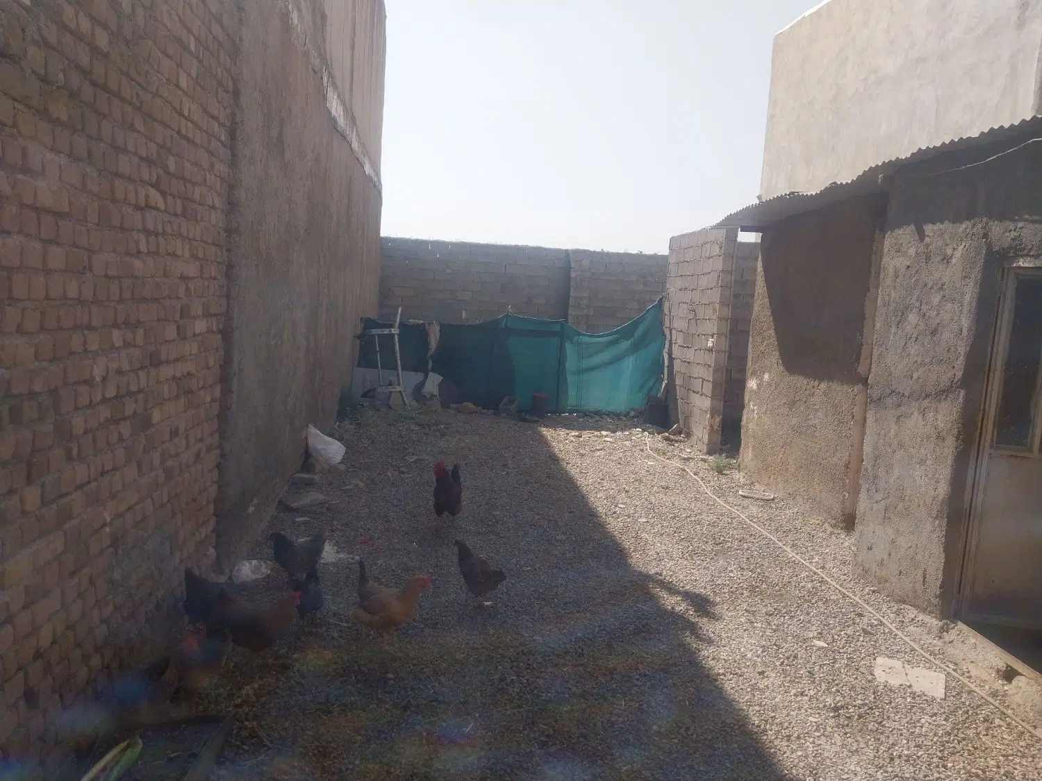 زمین مسکونی