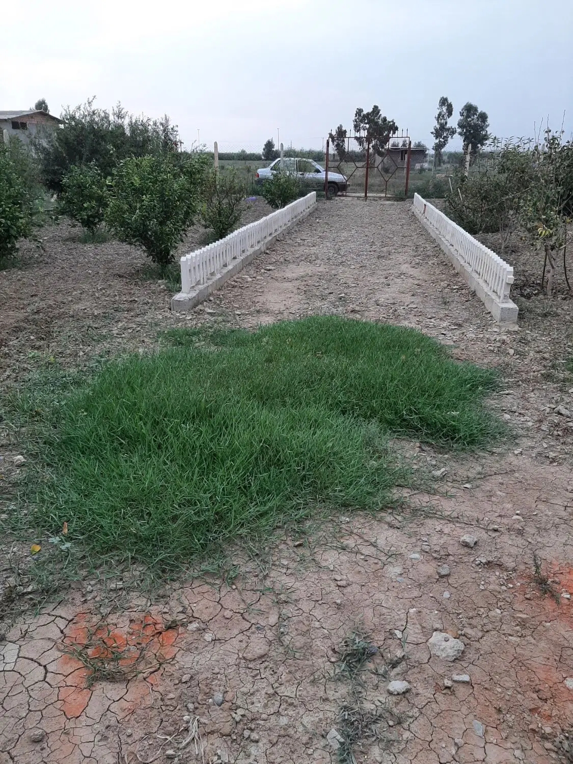 فروش زمین باغ ای ۵۰۰ متری