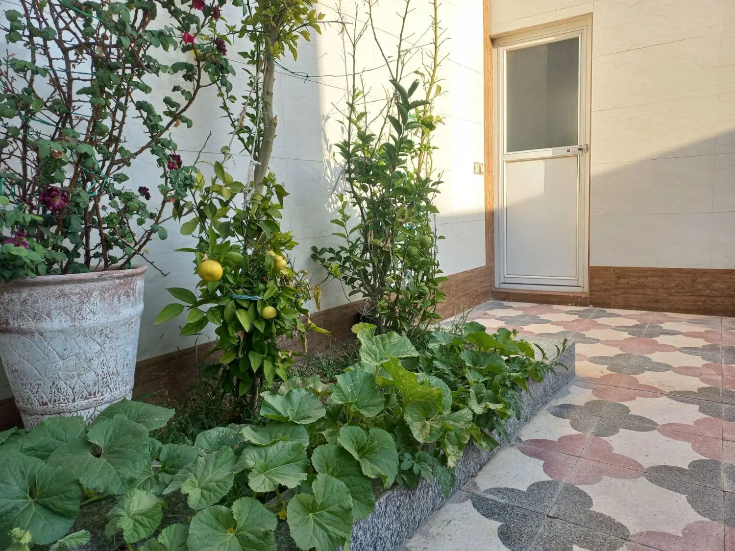 فروش منزل ویلایی