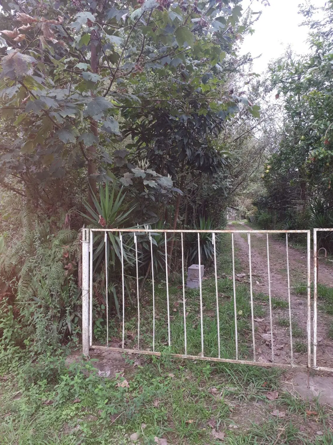 زمین مسکونی با مجوز ساخت