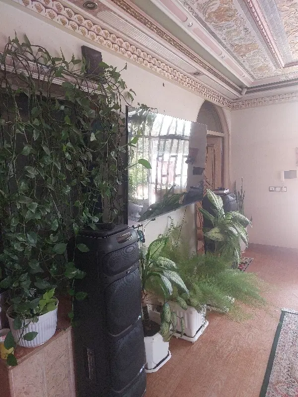 منزل شمالی
