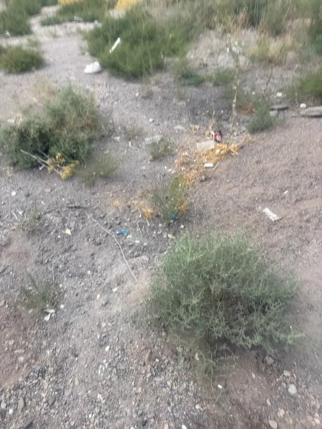 زمین اکبرآباد دیوان بیگی ۱۰۰۰ متر