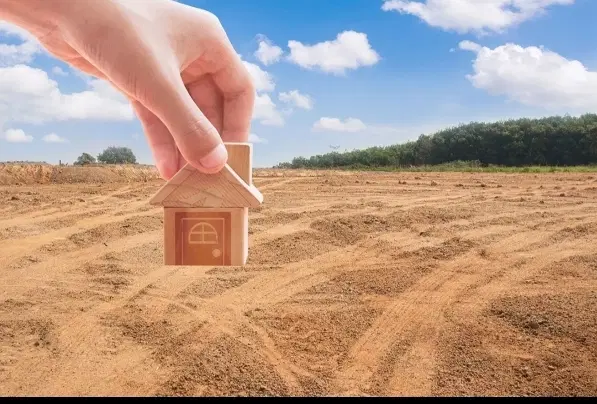 زمین کشاورزی با تعدادی نهال پسته