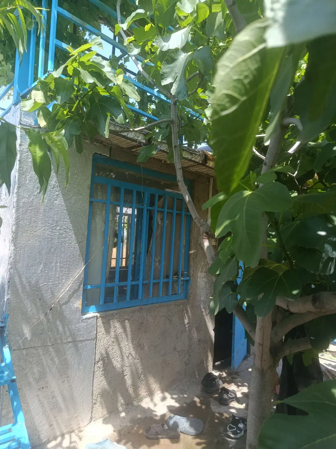 باغ زمین انار۱۲۲۰متری قیمت۲۵۰۰۰۰۰آب بندان کفشگیری