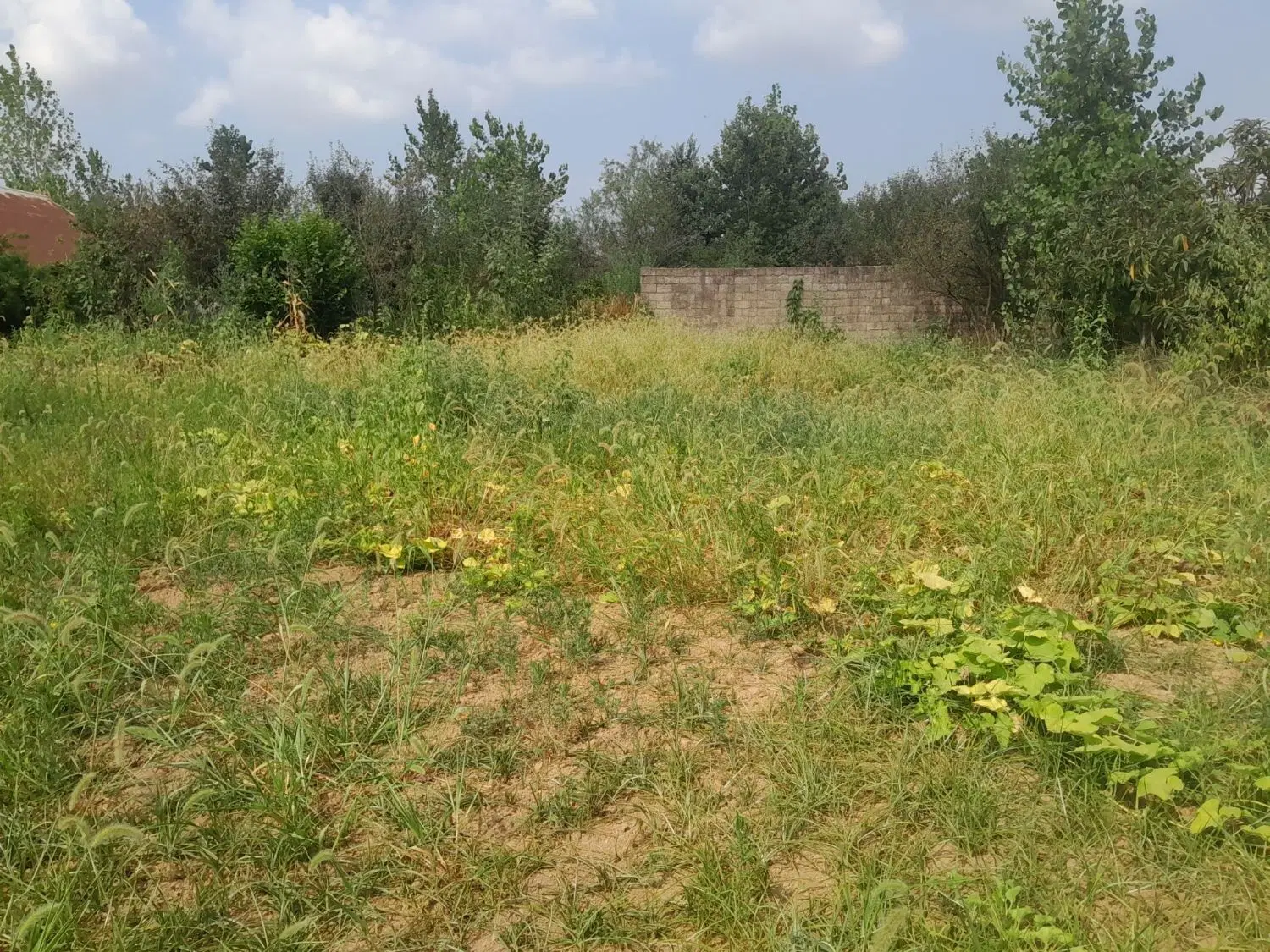 زمین ۳۶۸متری. رشت