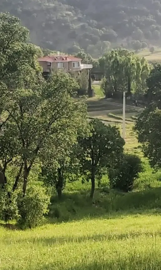 زمین مناسب خونه باغی