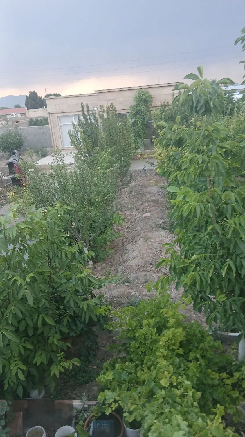 فروشی باغچه 700متری 70متربنا صفادشت