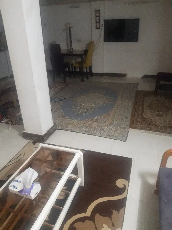 هم اتاقی خانم