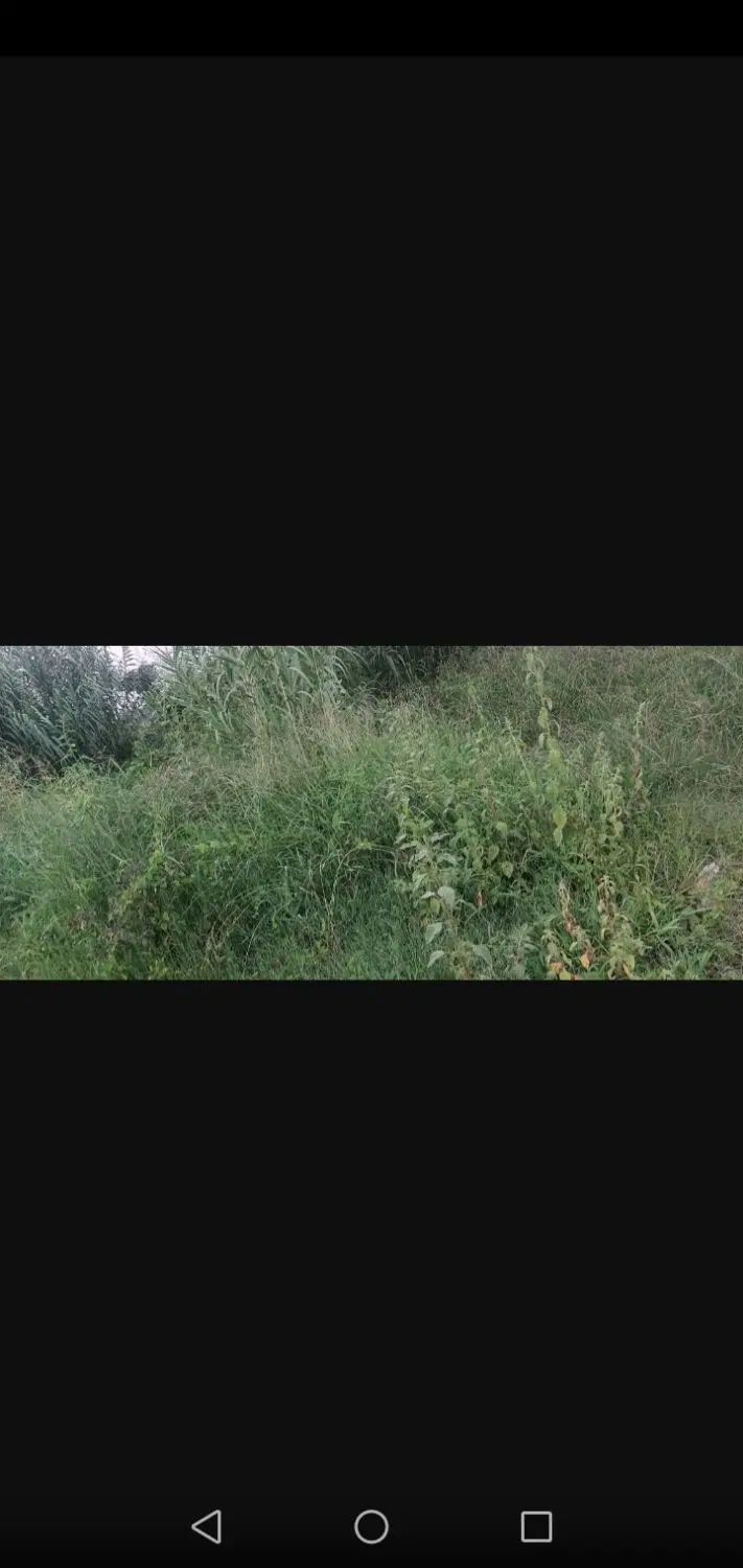 زمین درمحیط روستایی وزیبا(طرح هادی دارد)
