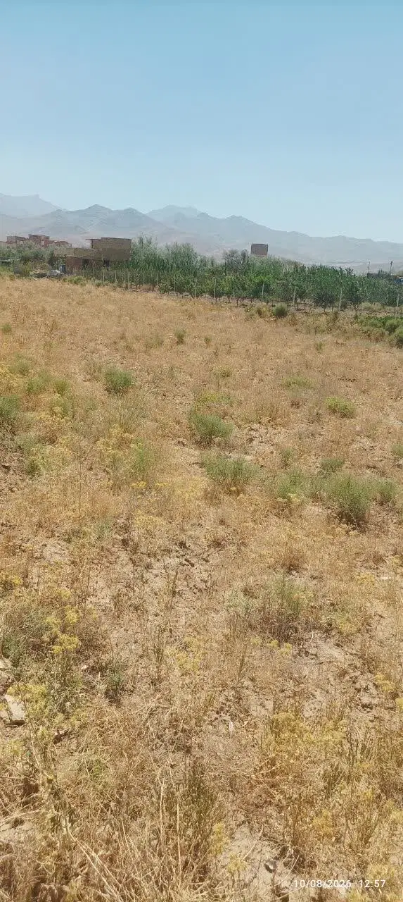 سلام زمین دیم مناسب باغ