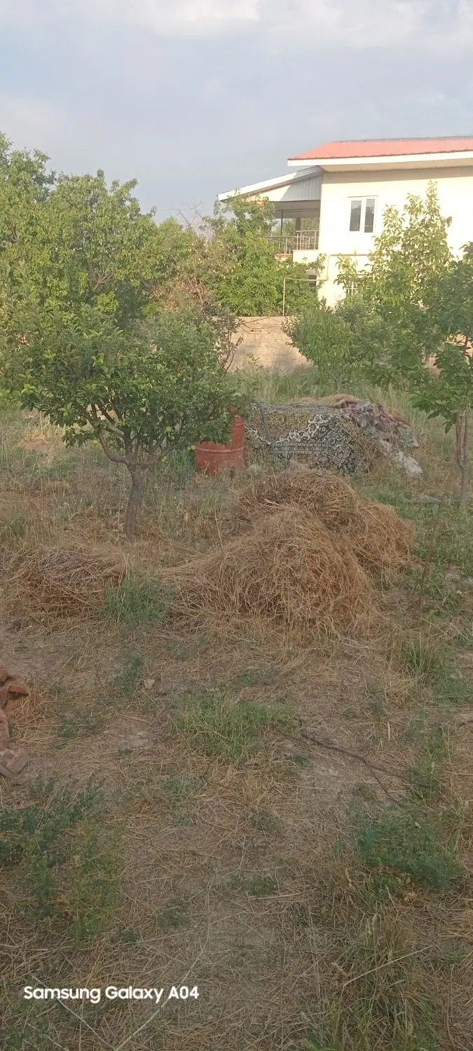 زمین ویلایی