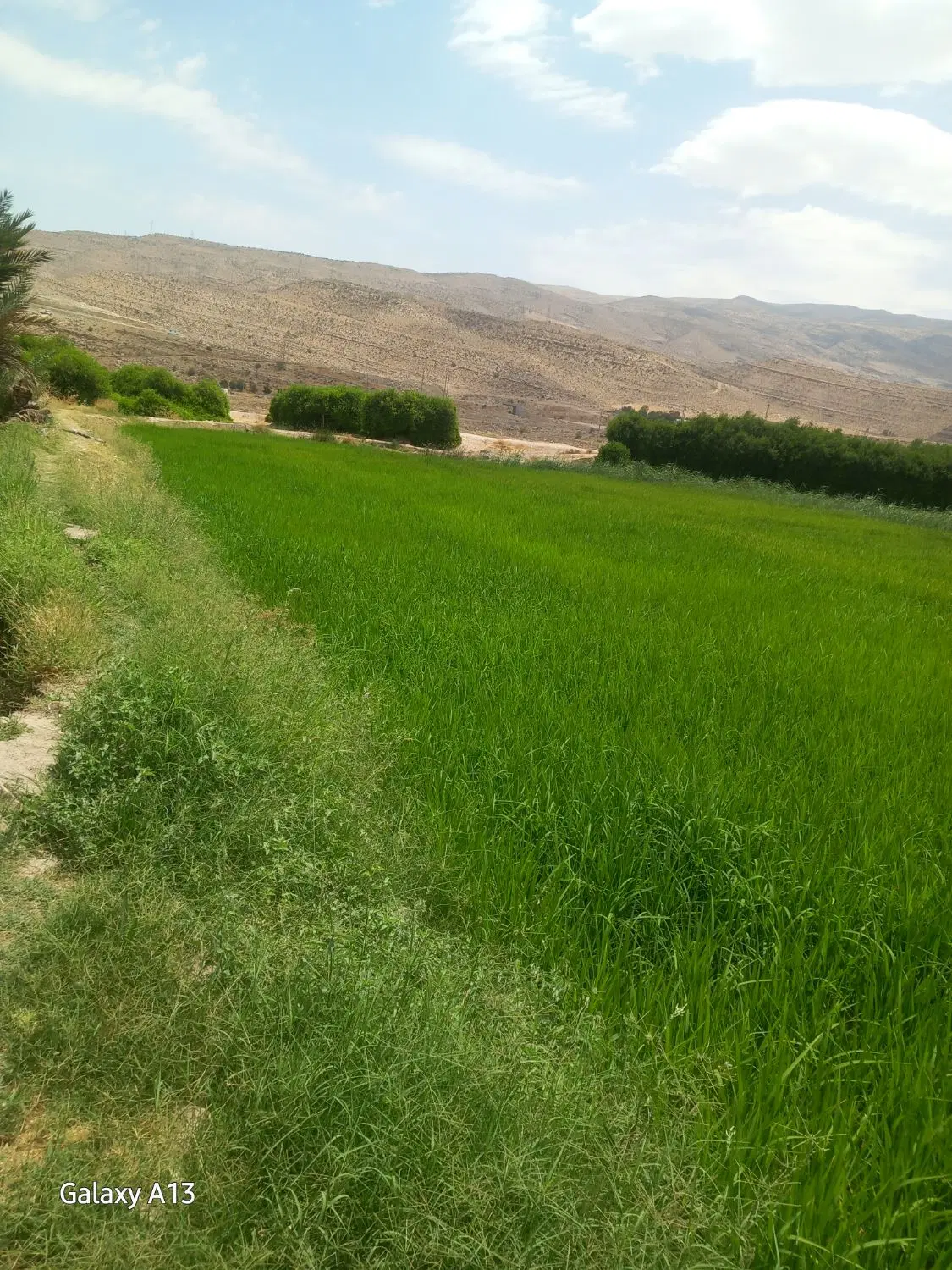 زمین فروشی