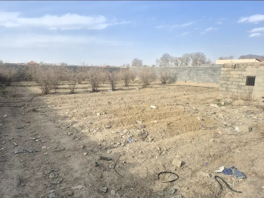 زمین باغی چریان و اصفهانک
