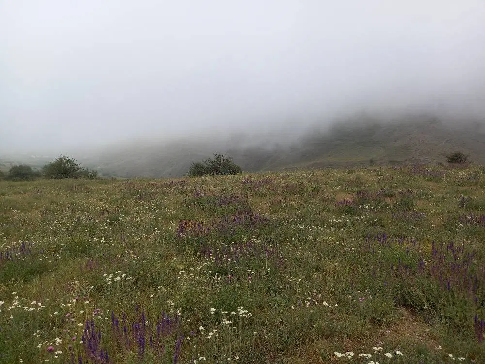 فروش زمین در جاده چالوس دوستای دونای سفلی