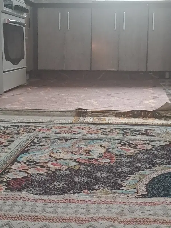 همخونه میشم خانم