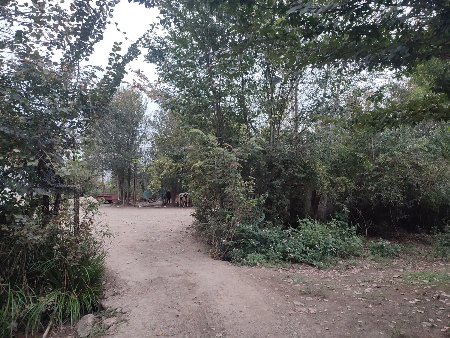 زمین کشاورزی و خانه محوطه
