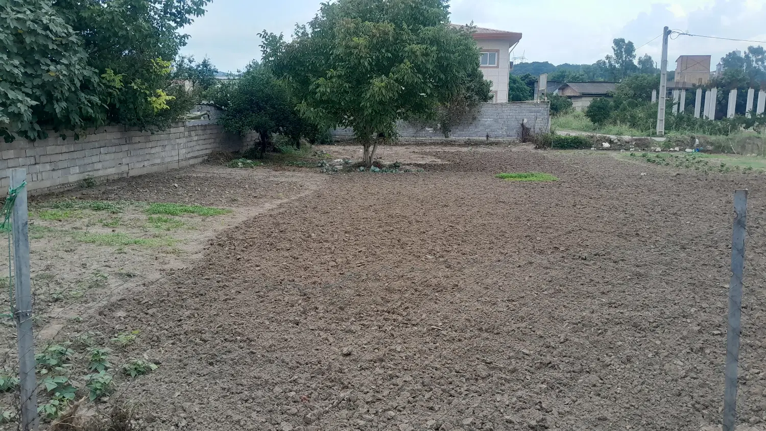 فروش ۲۶۰ متر زمین در هولای ساری