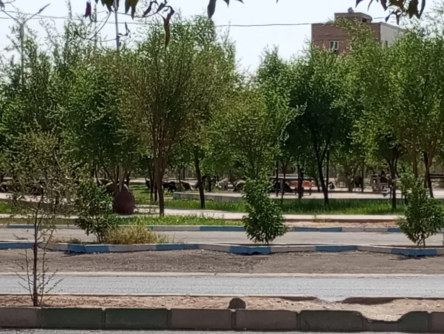 رهن واحد_درحدکلیداول_فرهنگ شهر_دوخواب_فول