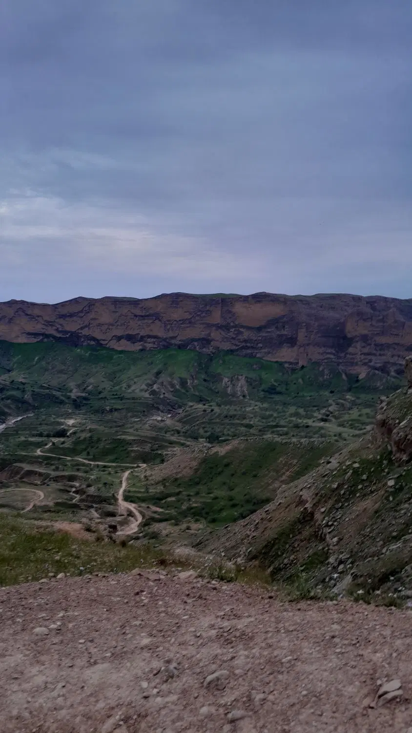 زمین کشاورزی برای اجاره گوسفند