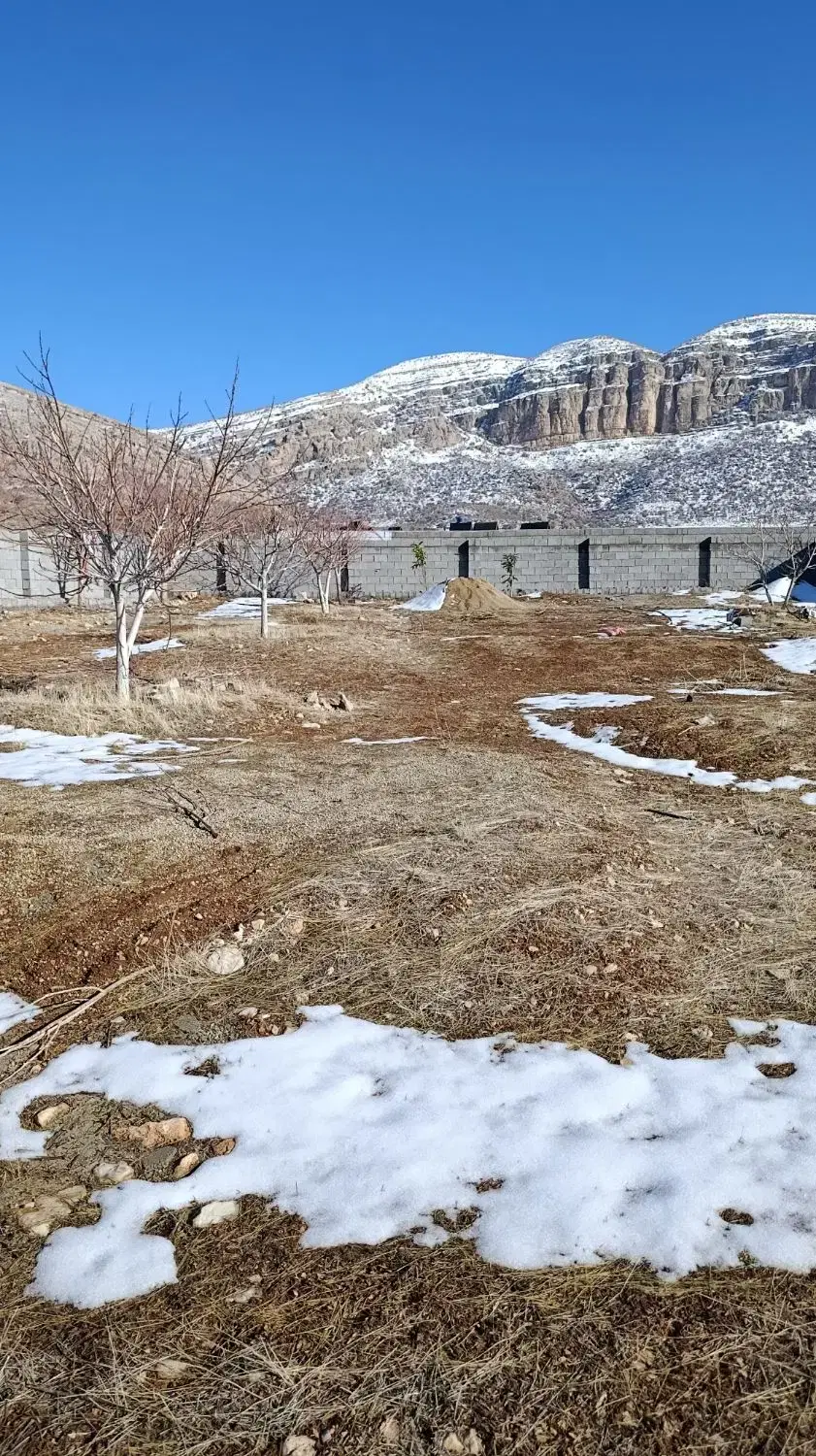 باغچه ۳۰۰متری دشت ارژن