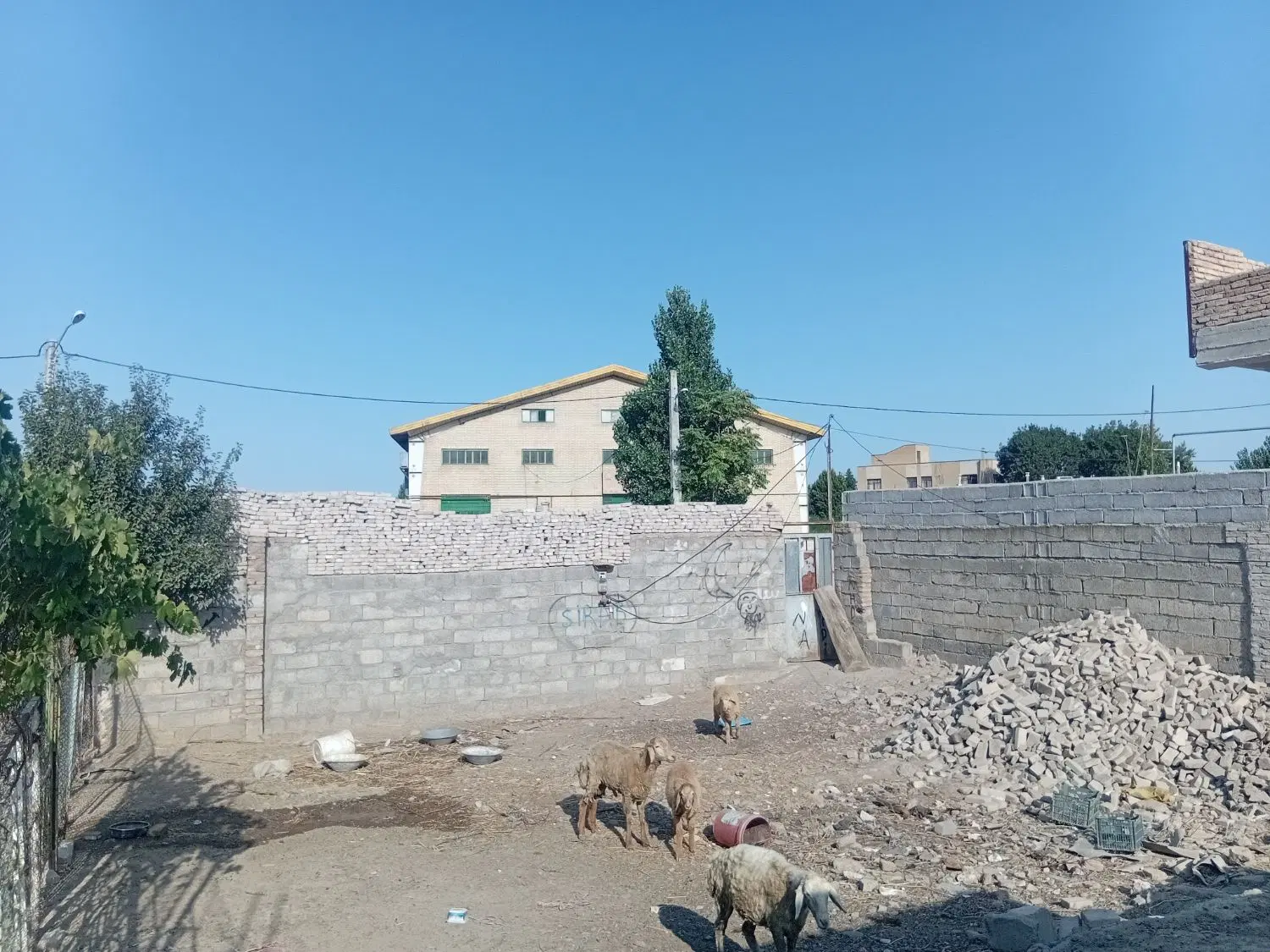 زمین222متر سند تک برگ اماده انتقال مالکیت