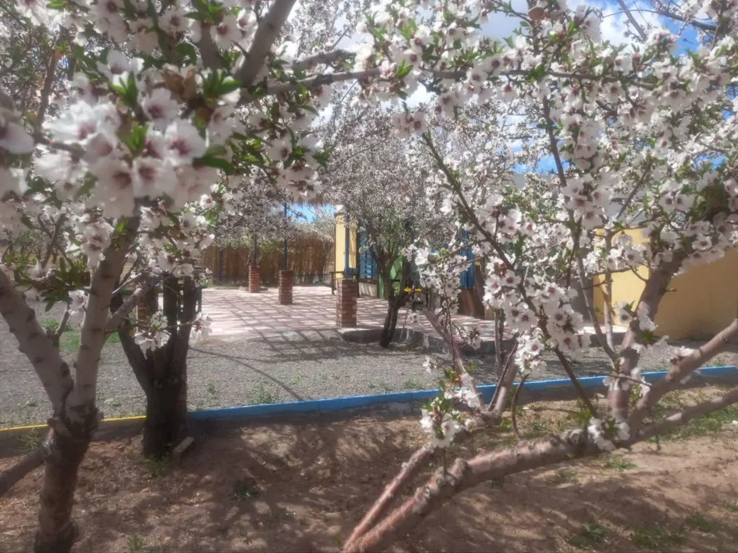 خانه ،باغ