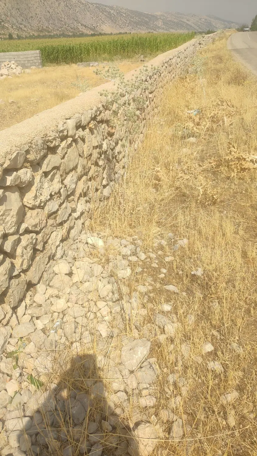 فروش زمین مخصوص باغ ویلایی