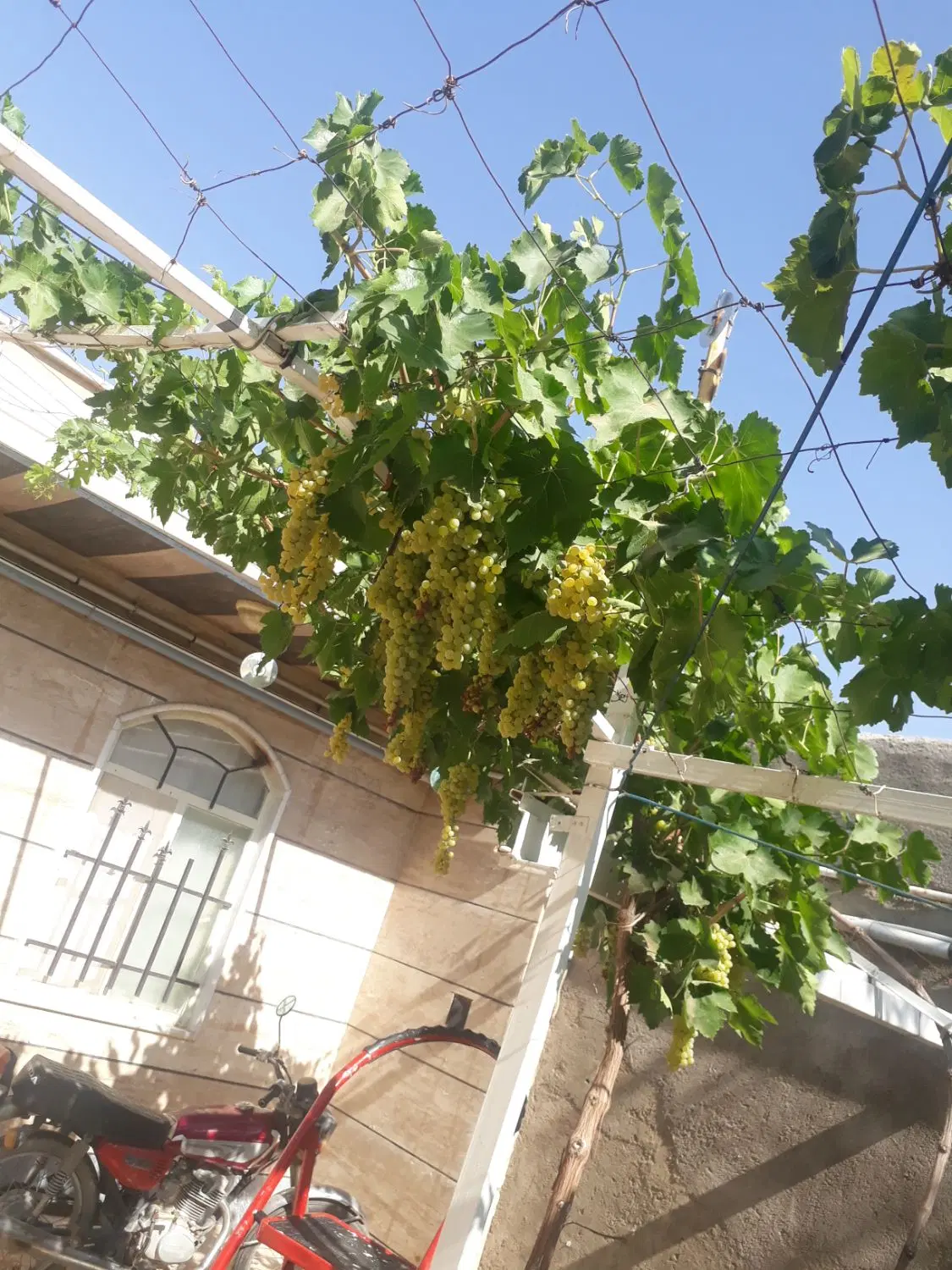 منزل مسکونی