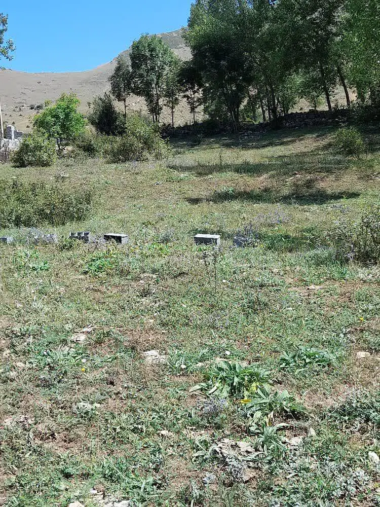 زمین در جاده چالوس