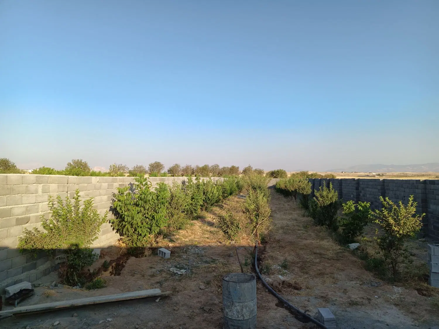 باغ سیابید بالا