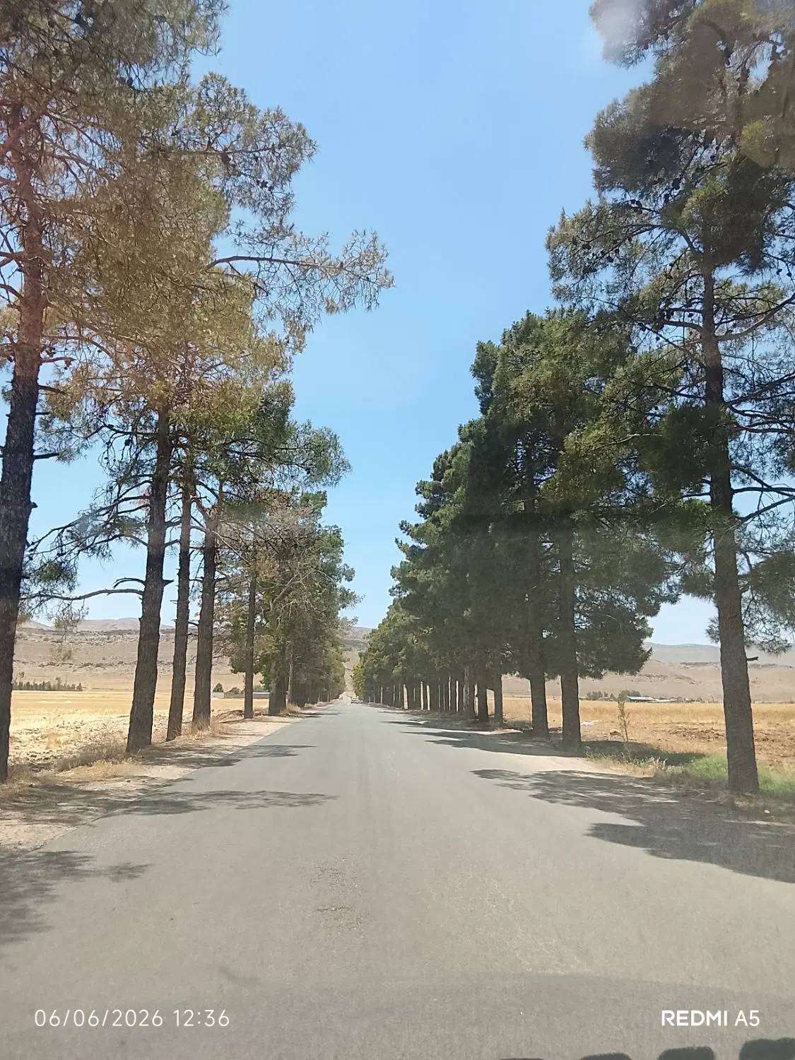 زمین باغشهری
