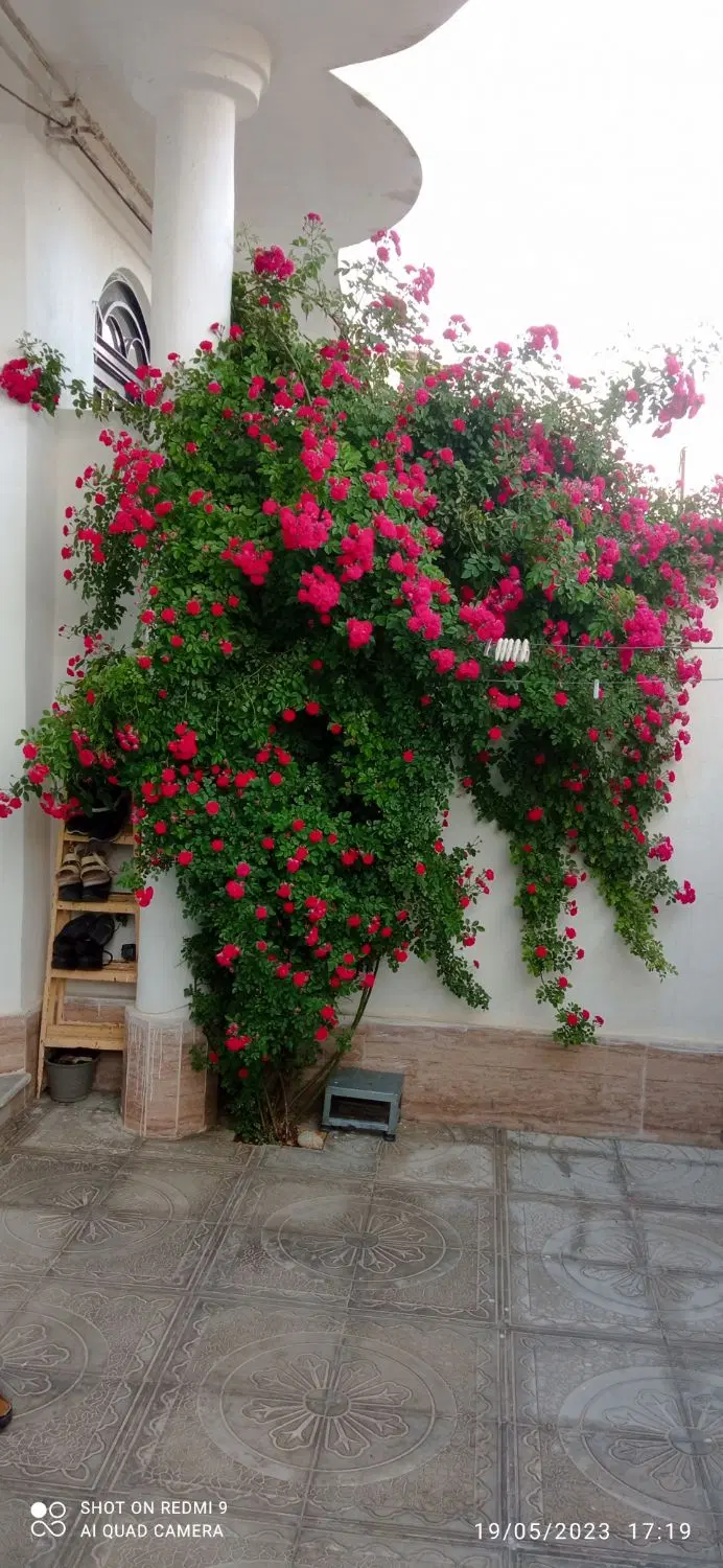 اجاره آپارتمان