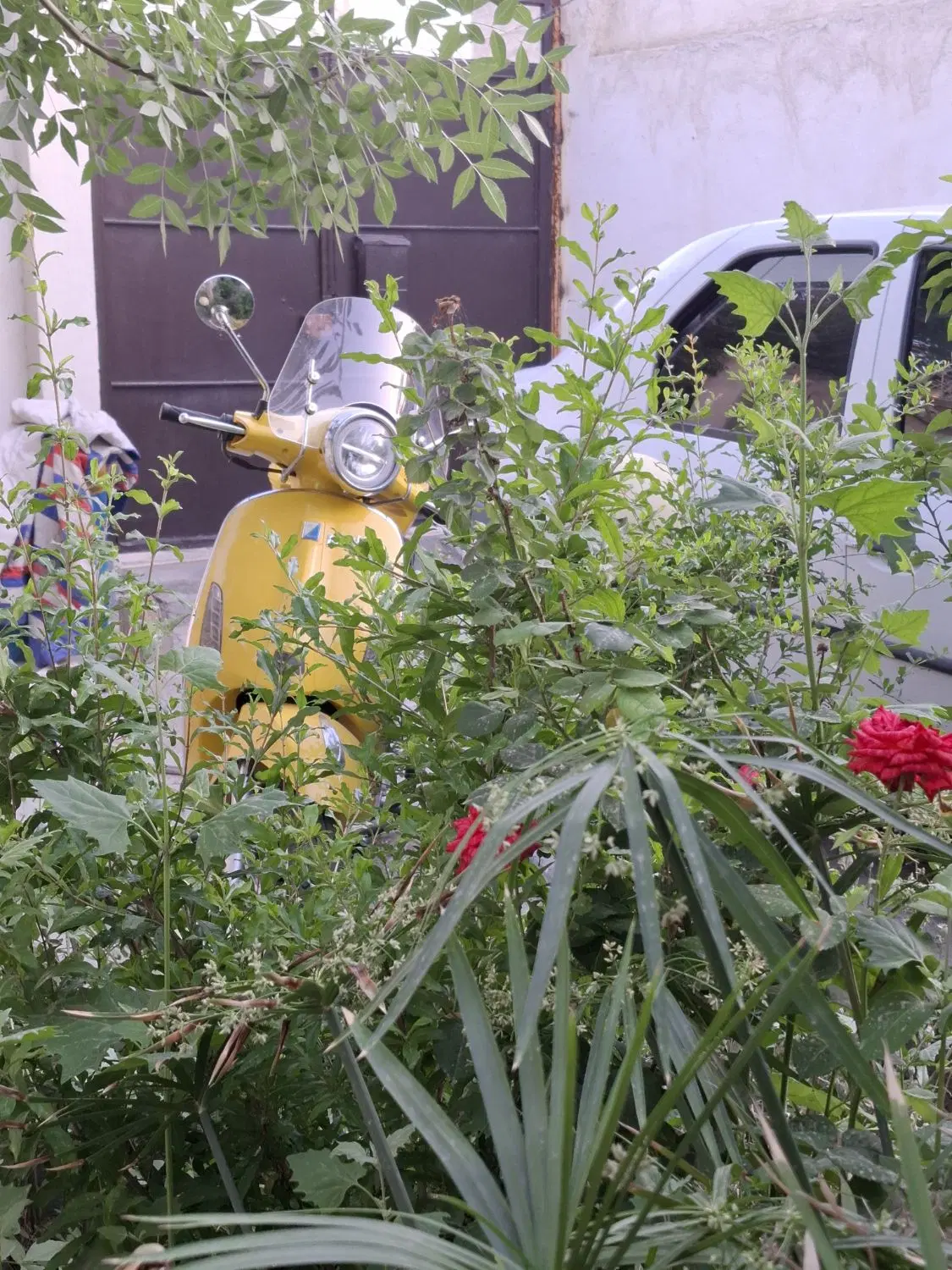 اجاره خانه ویلایی