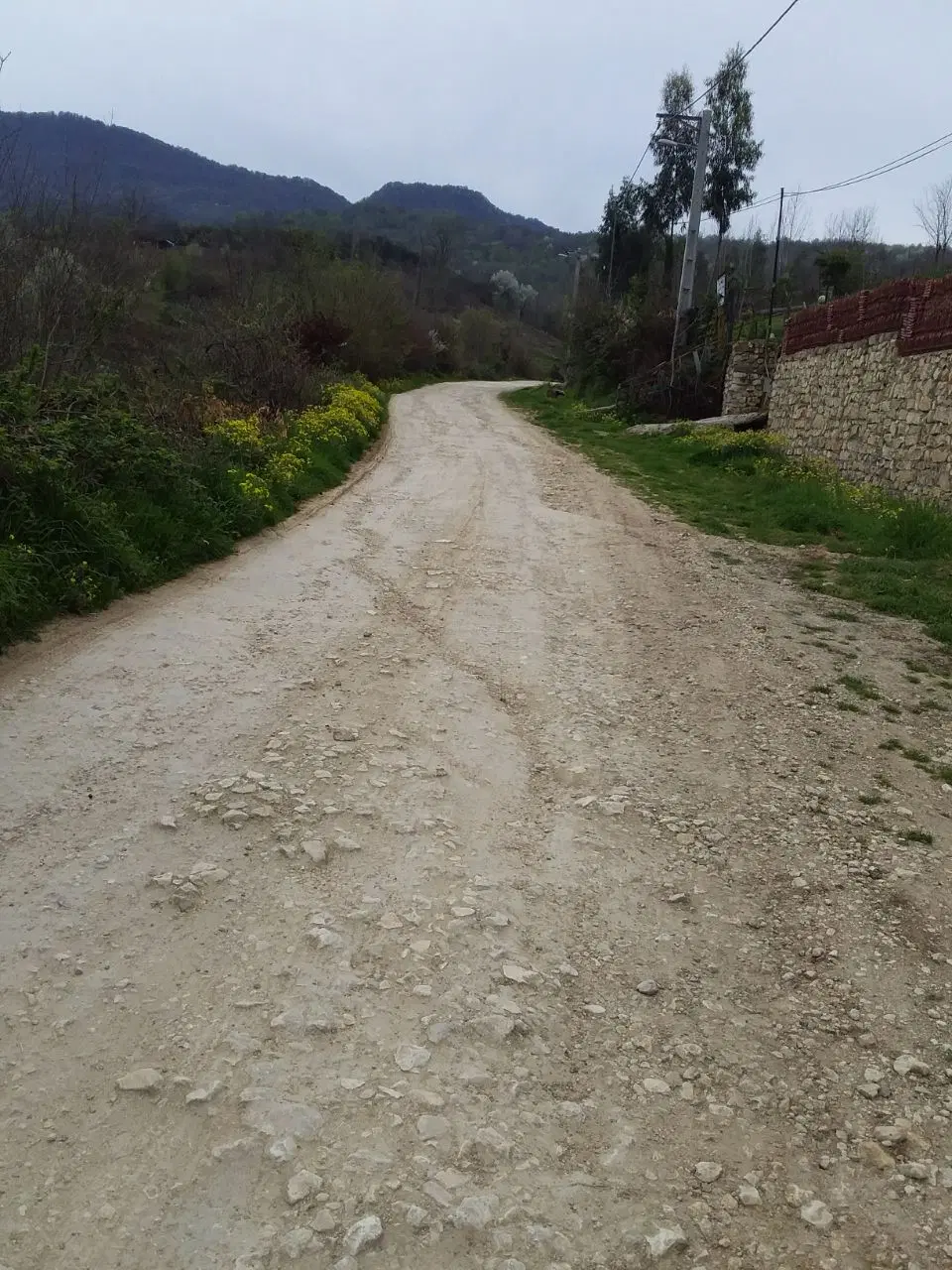 زمین توی بافت