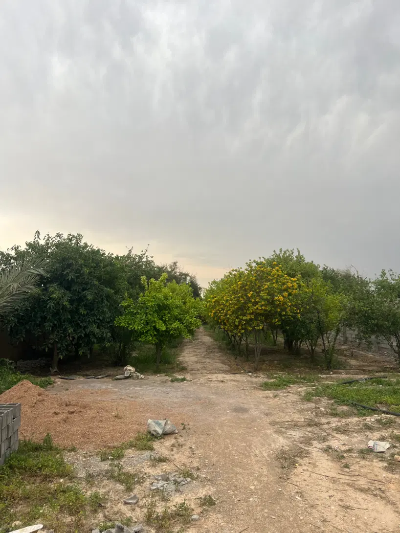 فروش زمین باغ ویلا