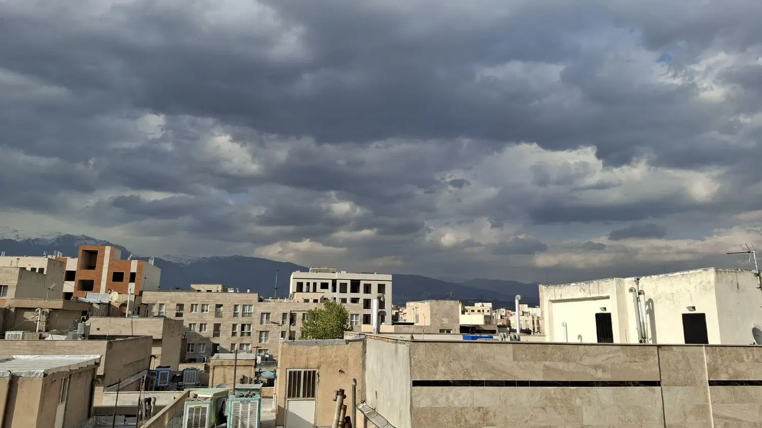 کلنگی زیر قیمت