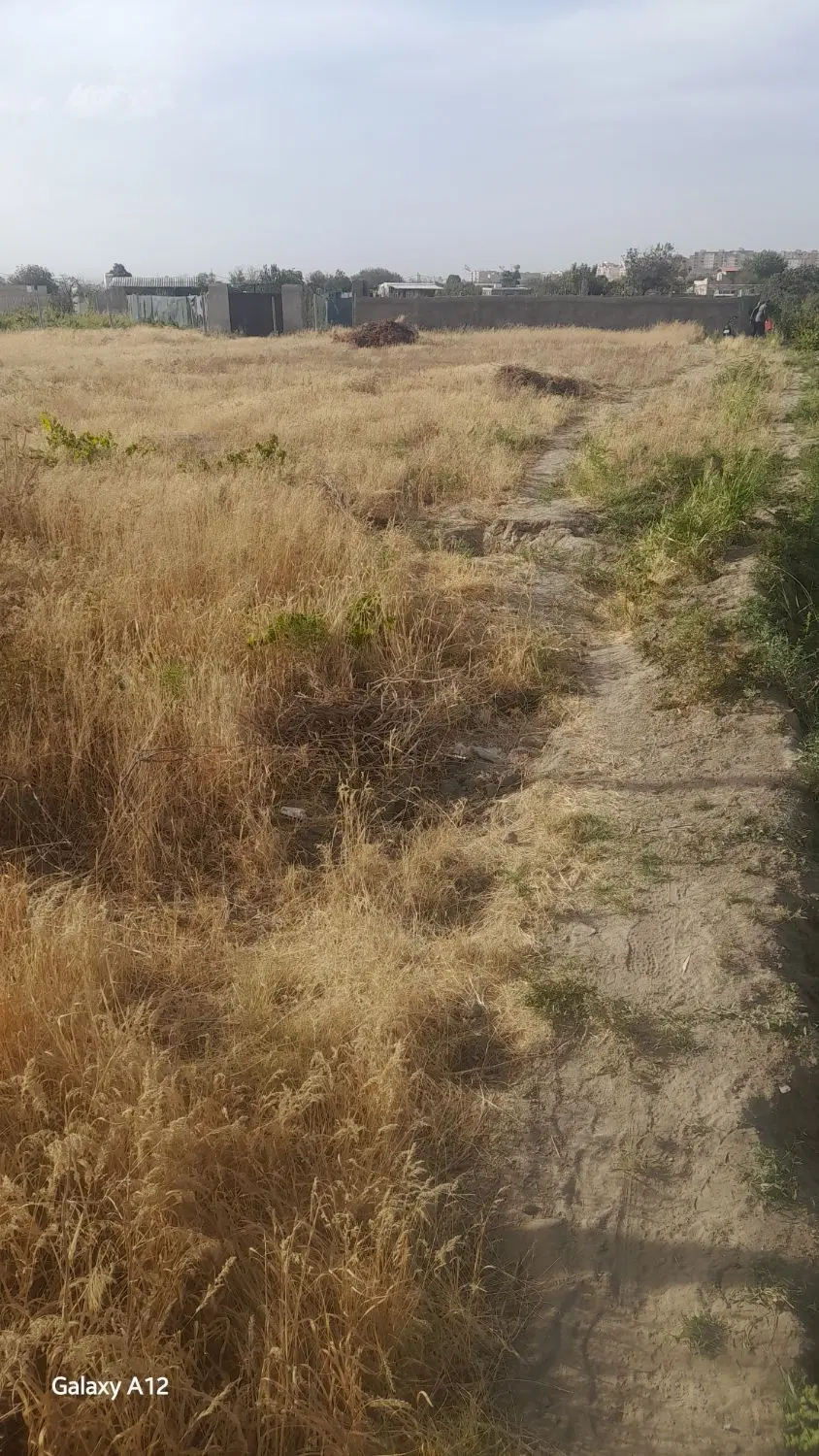 فروش زمین باغی