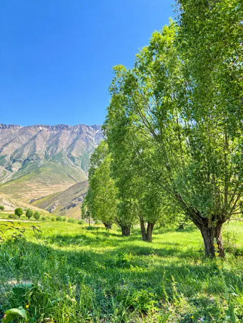 فروش زمین