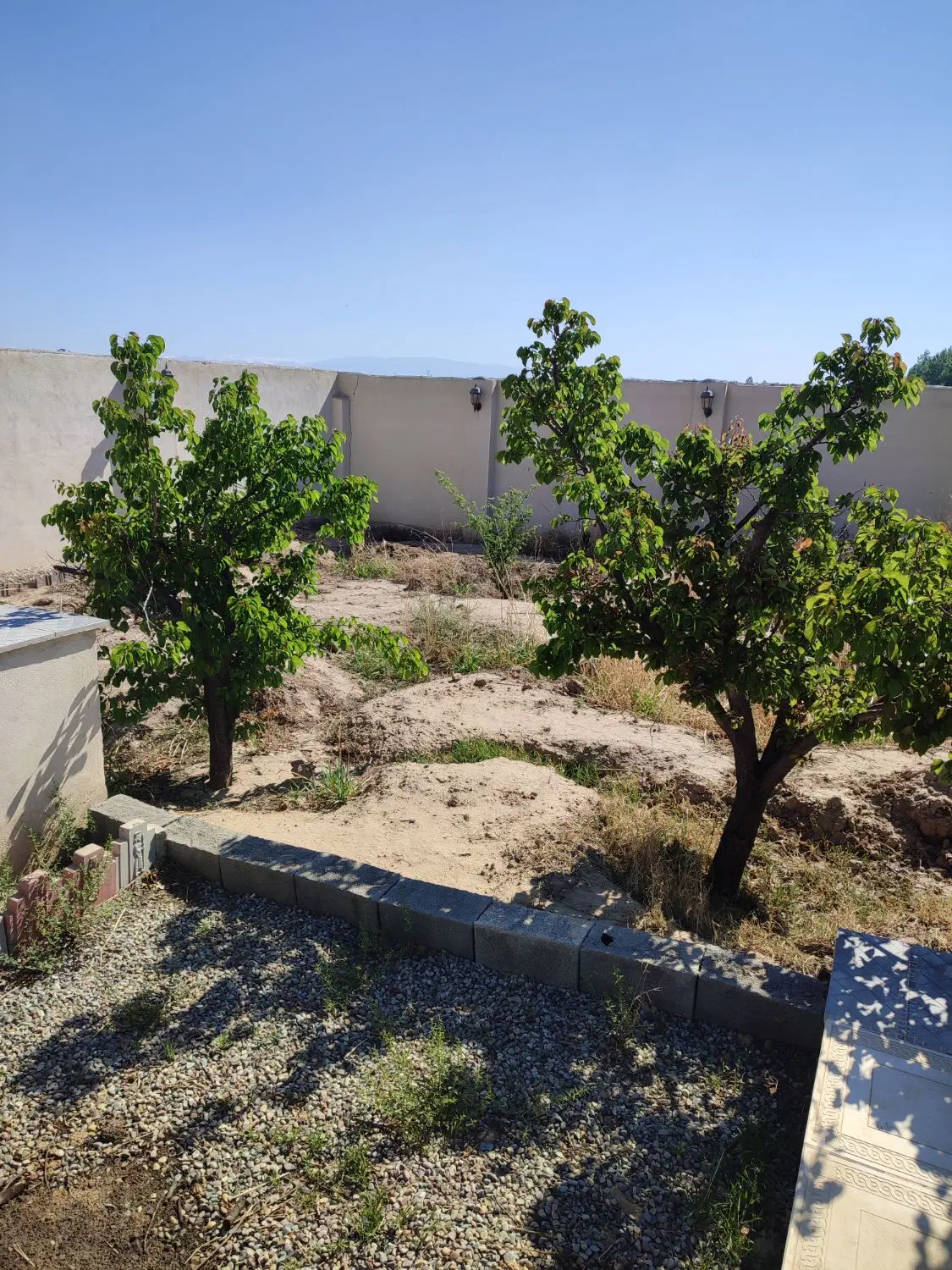 باغچه ۲۷۵و۲۳۸متری  معاوضه با خودرو روستای جیتو