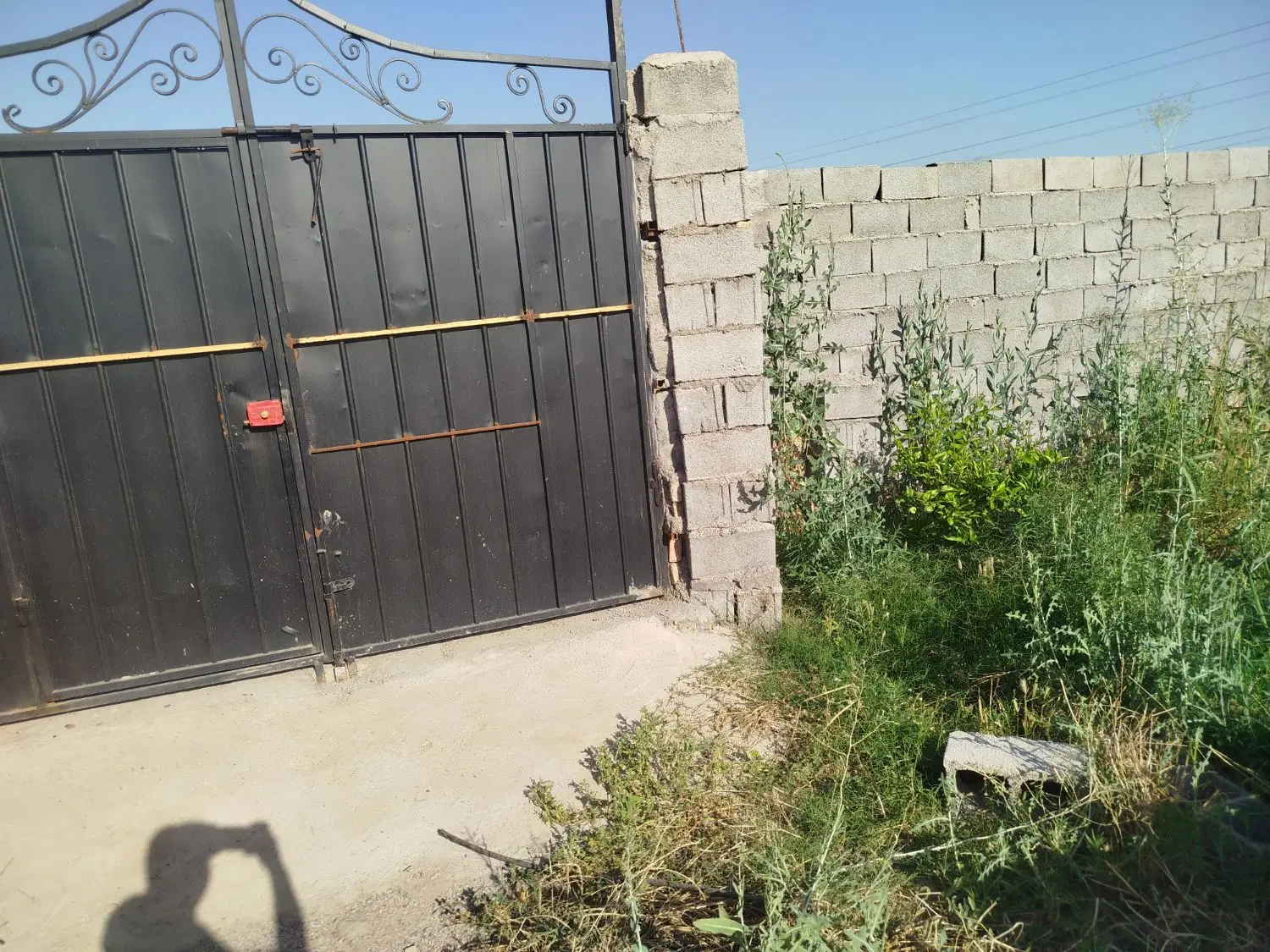 باغچه